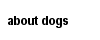about dogs